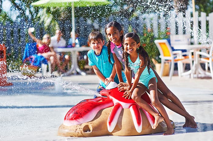 Festival Orlando photo 10
